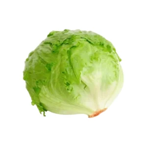 Lechuga