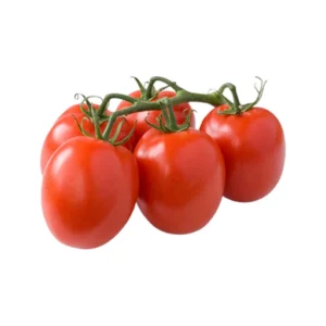 Tomate chonto