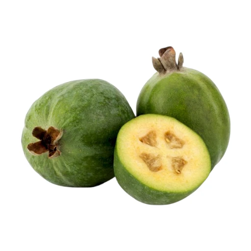 Feijoa