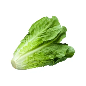 Lechuga Romana